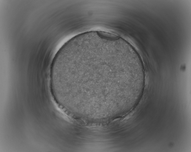 X0000112471048200909071128