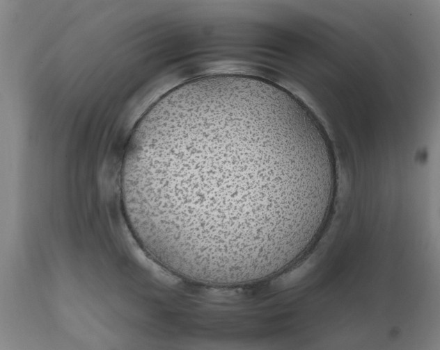 X0000112471049200909071129