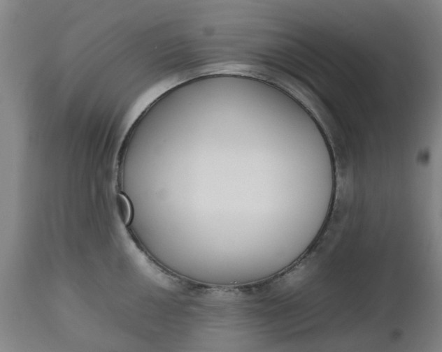 X0000112471050200909071129