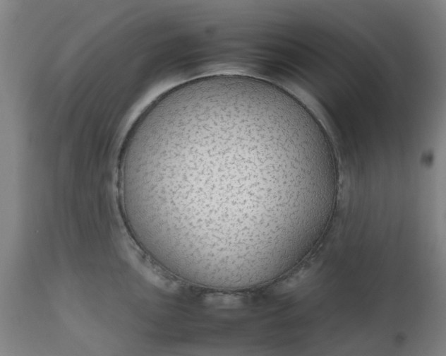 X0000112471051200909071129