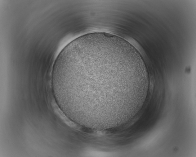 X0000112471052200909071129