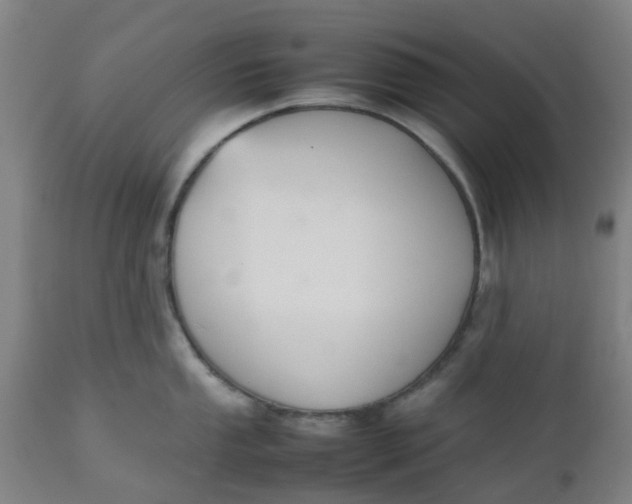 X0000112471053200909071129