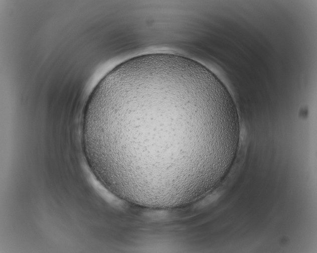 X0000112471054200909071129