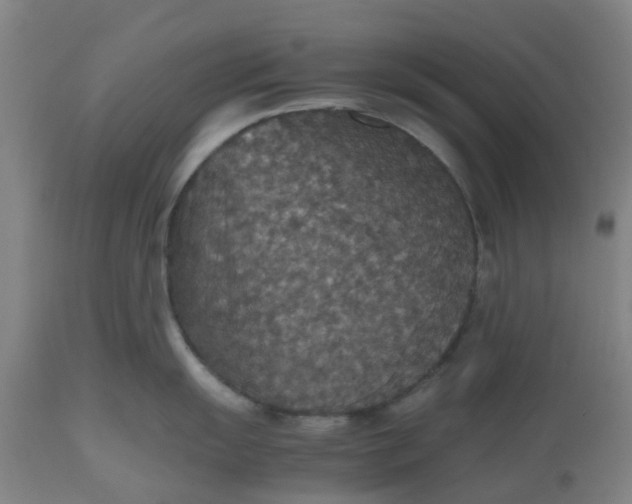 X0000112471055200909071129