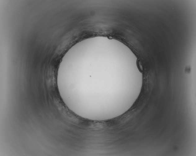 X0000112471058200909071128