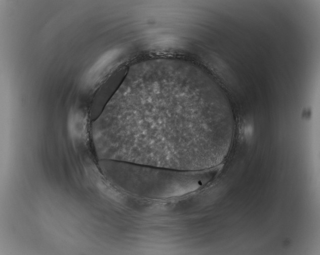 X0000112471060200909071128