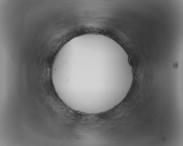 X0000112471061200909071128