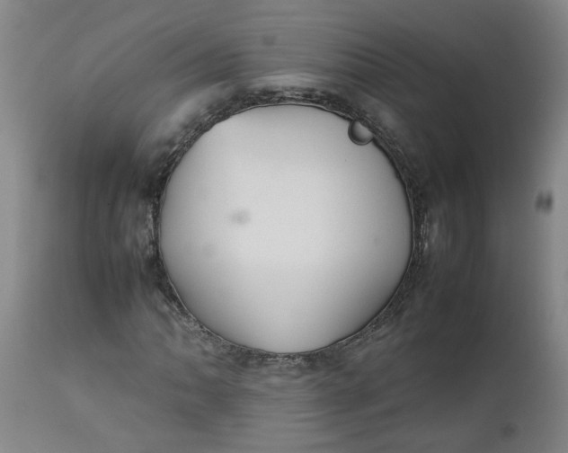 X0000112471062200909071128