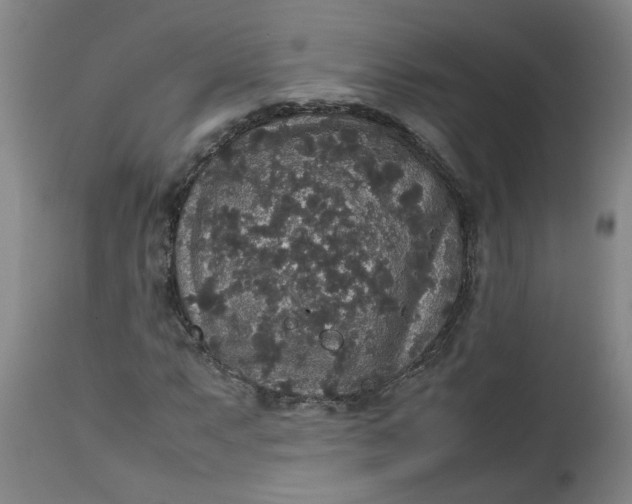 X0000112471063200909071128