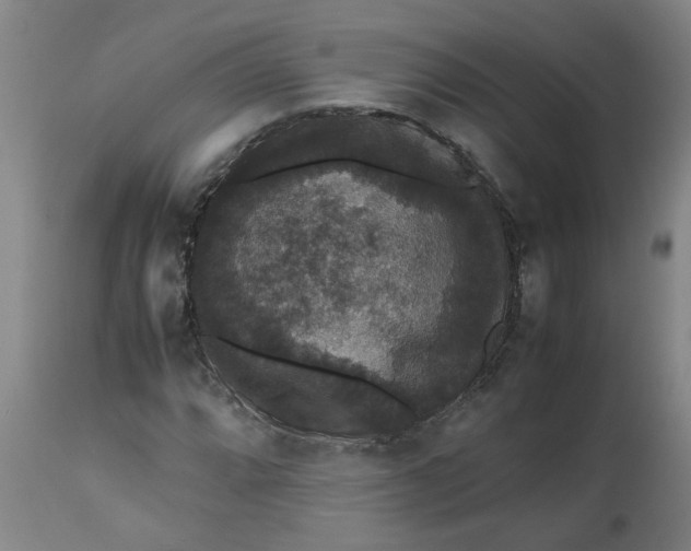 X0000112471064200909071128