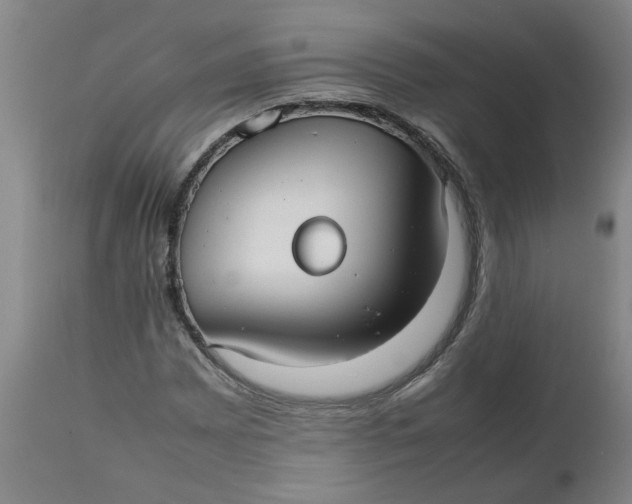 X0000112471065200909071128