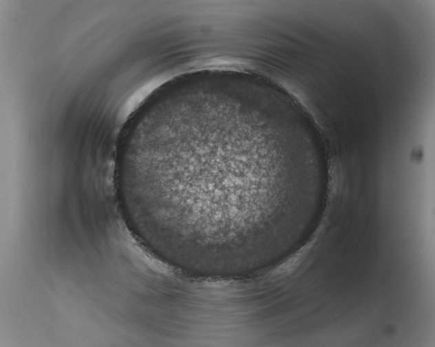 X0000112471066200909071128