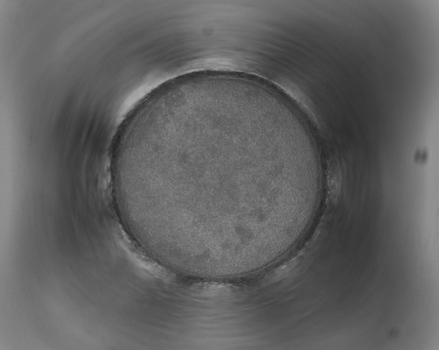 X0000112471070200909071128