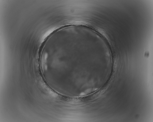 X0000112471071200909071128