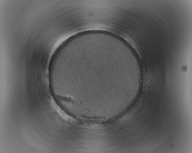 X0000112471072200909071128