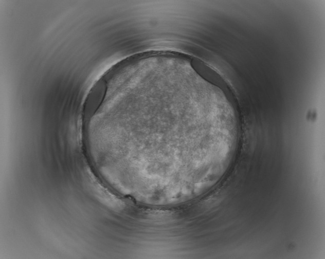 X0000112471076200909071128