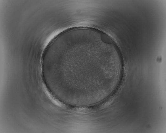 X0000112471077200909071128