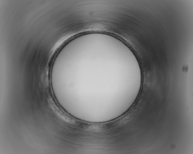 X0000112471078200909071128