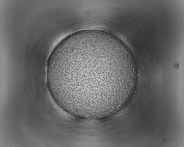 X0000112471079200909071128