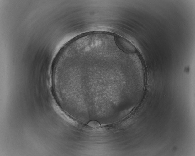 X0000112471080200909071128