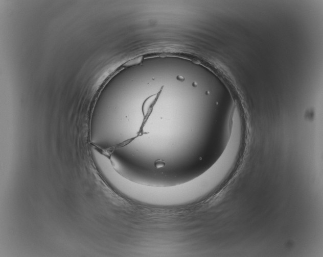 X0000112471081200909071128