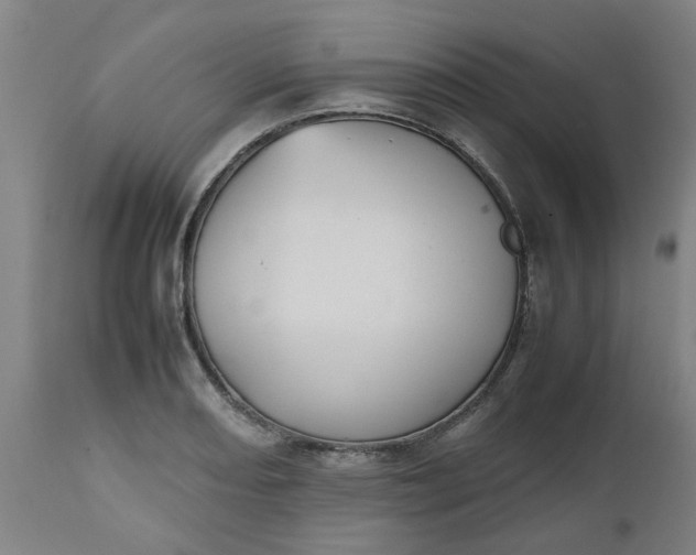 X0000112471082200909071128