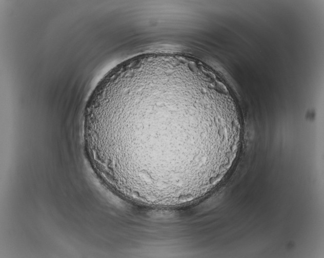 X0000112471083200909071128