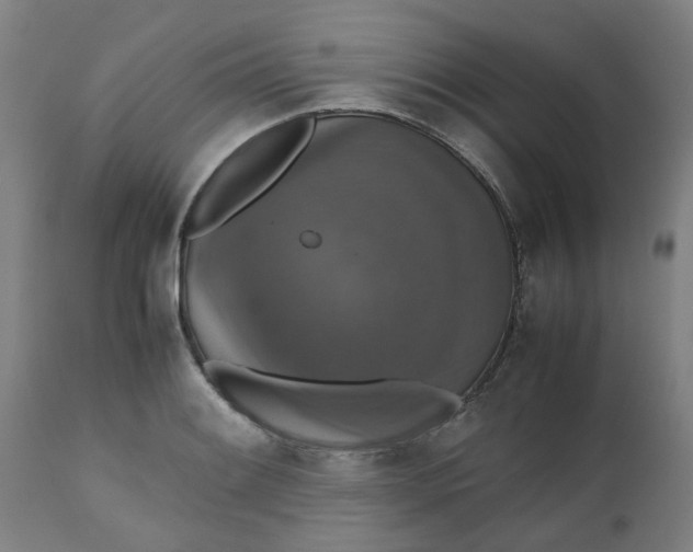 X0000112471084200909071128