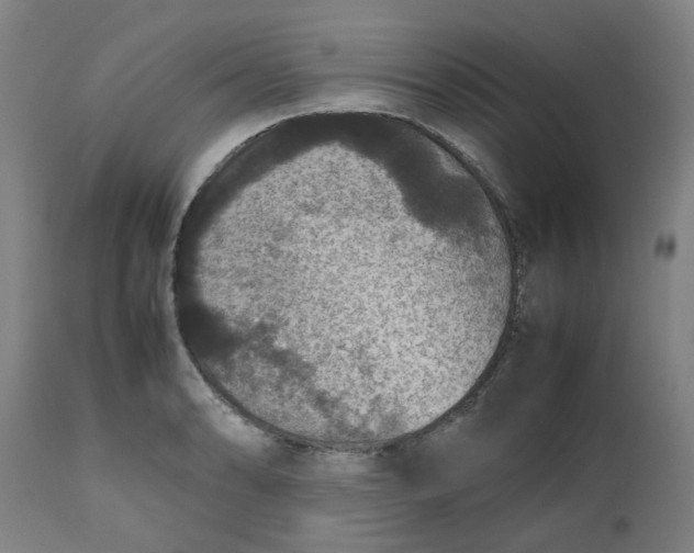 X0000112471086200909071128