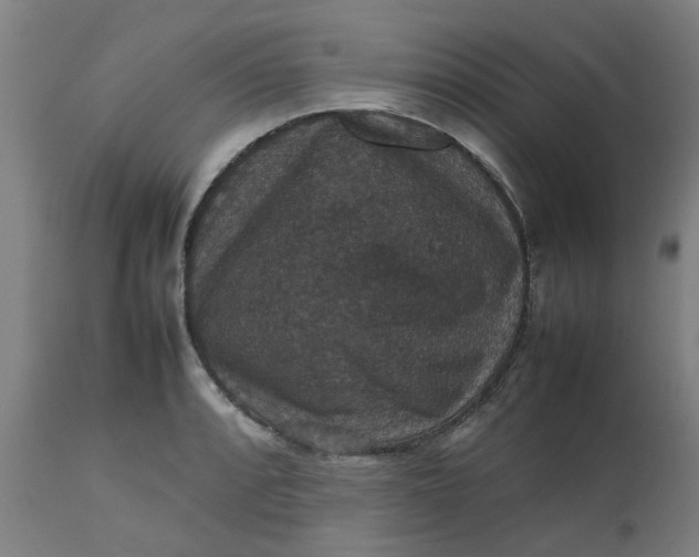 X0000112471088200909071128