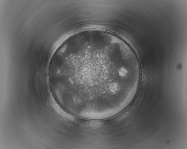 X0000112471090200909071127