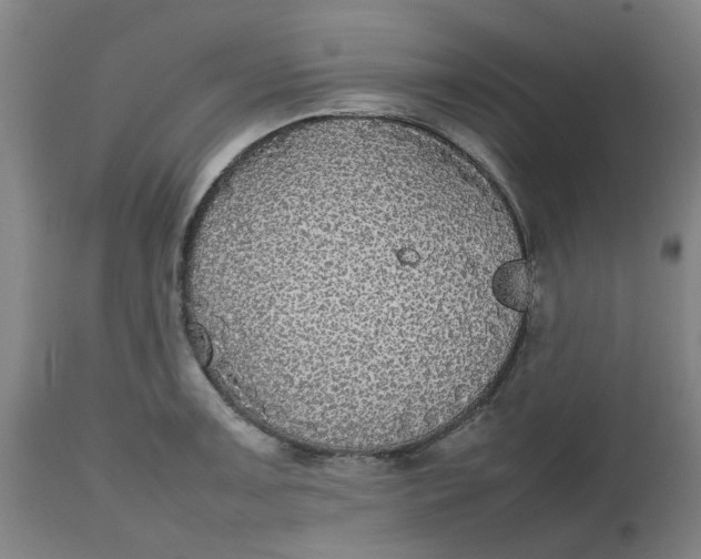 X0000112471091200909071127