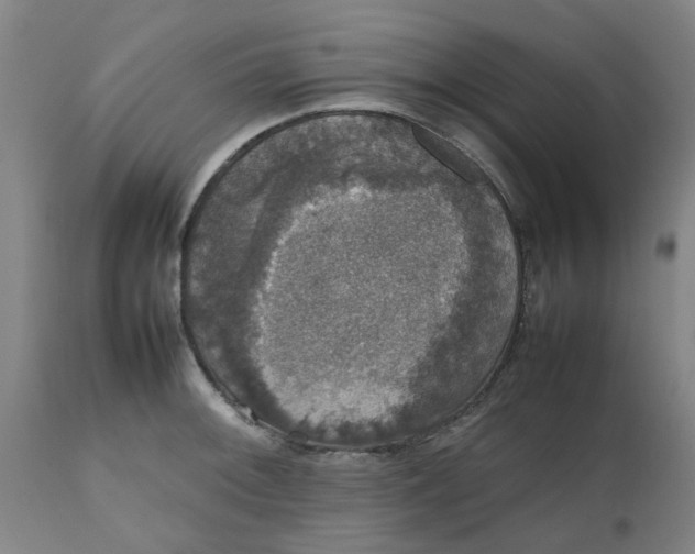 X0000112471092200909071127