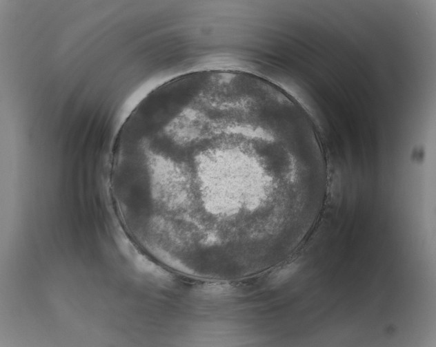 X0000112471094200909071127