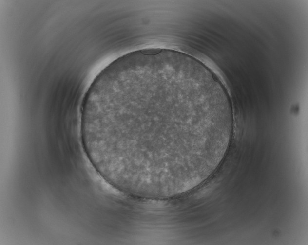 X0000112471096200909071127