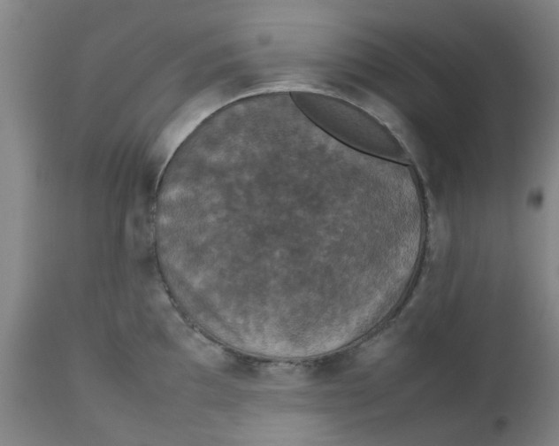 X0000112471097200909071127