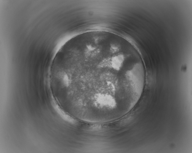 X0000112471098200909071127