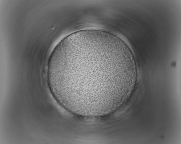 X0000112471099200909071127