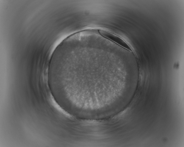 X0000112471100200909071127