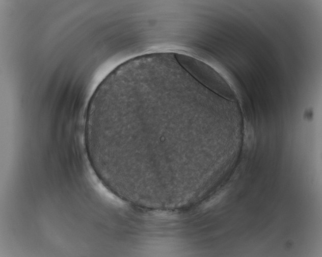 X0000112471102200909071127