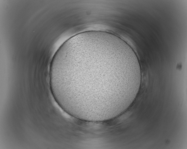 X0000112471103200909071127