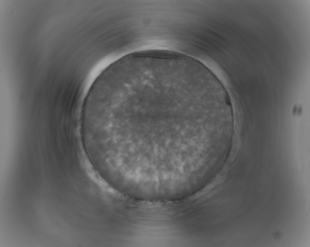 X0000112471104200909071127