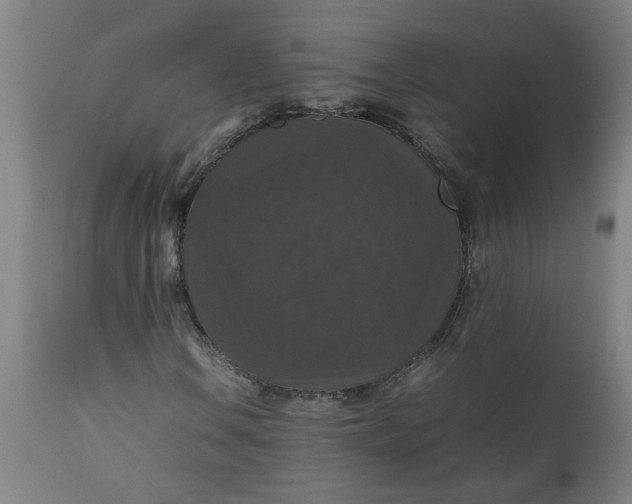 X0000112471106200909071127