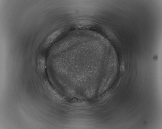 X0000112471108200909071127