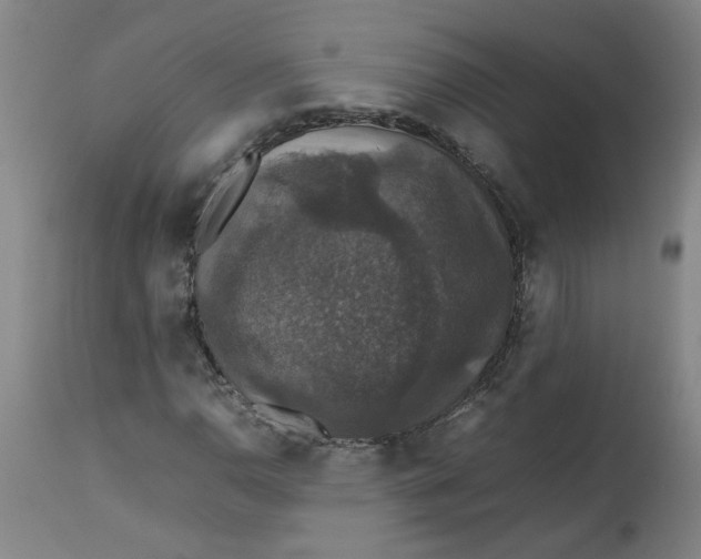 X0000112471110200909071127