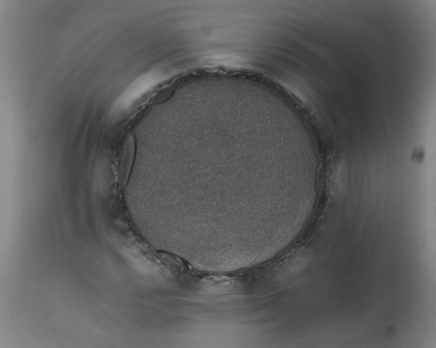 X0000112471112200909071127