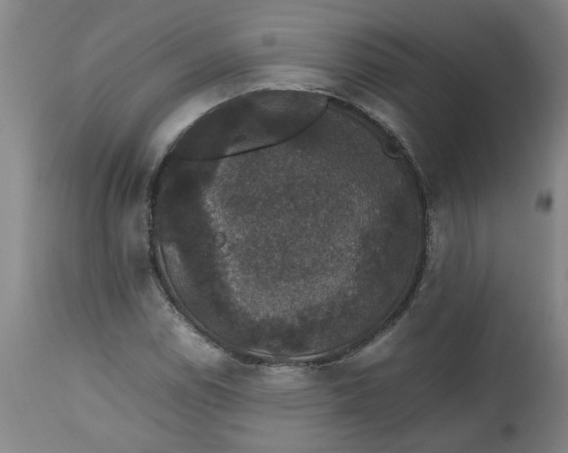 X0000112471114200909071127