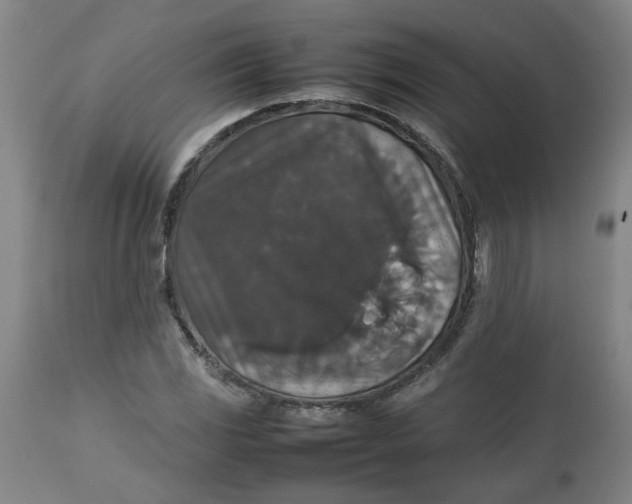 X0000112471117200909071127