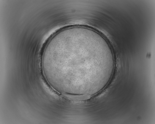 X0000112471118200909071127