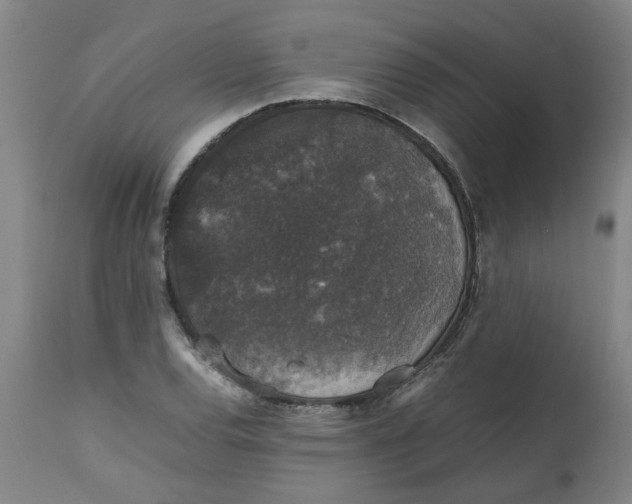 X0000112471120200909071127